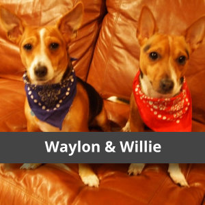 Waylon and Willie